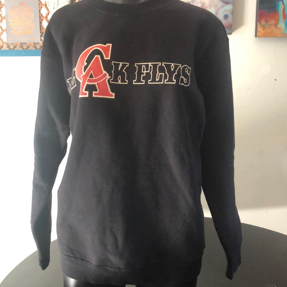 Black Flys Sweat shirt
